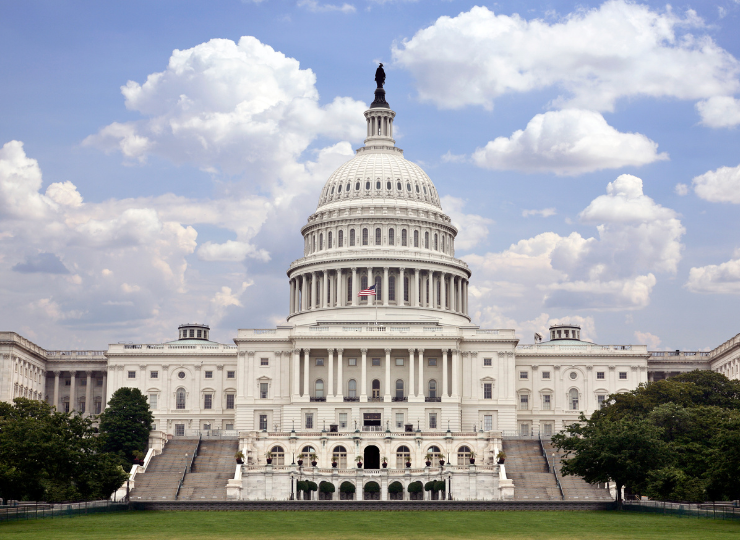 A frontal view of the United States Capitol building with its white domed roof, classical columns, and an American flag, set behind a grassy lawn under a partly cloudy sky.