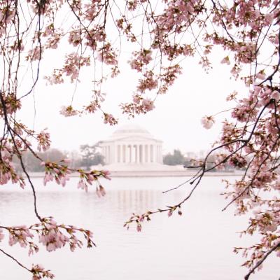 Sunrise at Tidal Basin