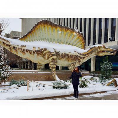 Snow Days with Dinosaurs!