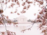 Sunrise at Tidal Basin