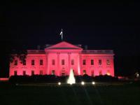 The White House Goes Pink for Breast Cancer Awareness Month