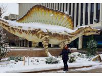 Snow Days with Dinosaurs!